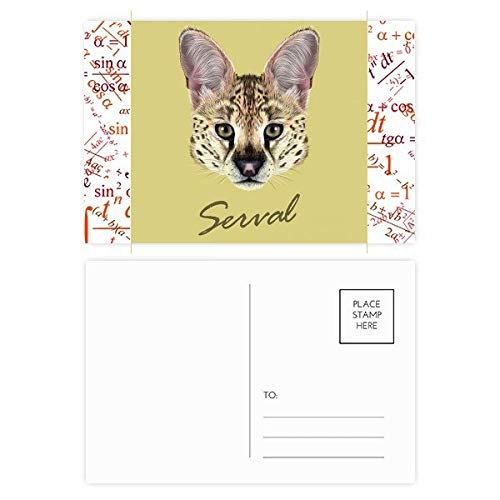Jeu de cartes postales Serval 20 pièces pour ne jamais manquer de cartes