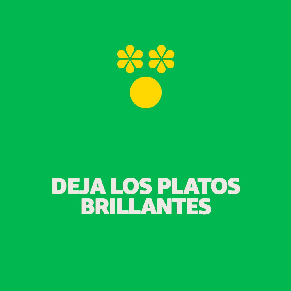 Ecover Lavavajillas líquido ecológico, Fragancia Camomile/Clementine, 450ml