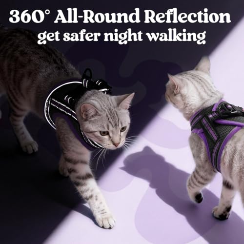 Image of rabbitgoo Cat Harness and Leash Set, Step-in Soft Vest, Black & Purple