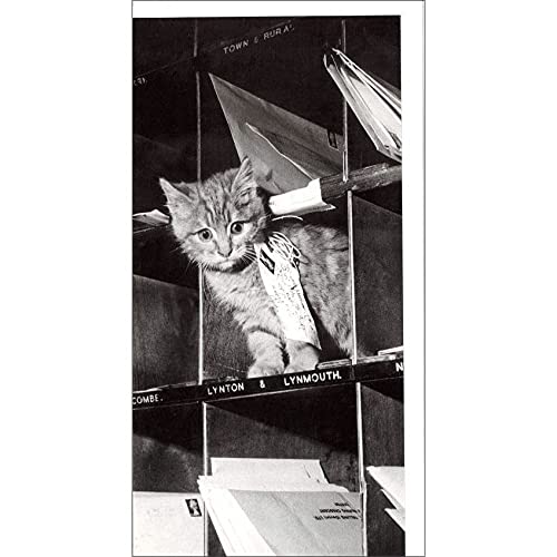 OO[eBOJ[h ړI mNʐ^u^ԔLv  bZ[WJ[h AG