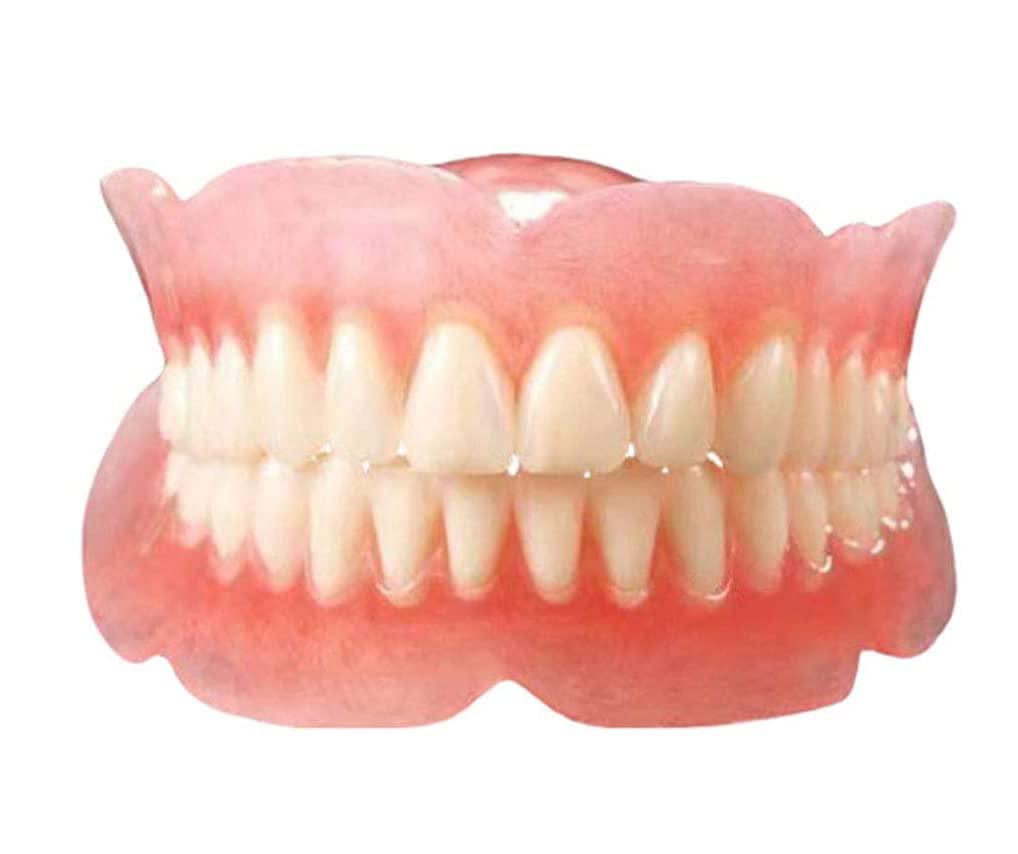 Modelli Anatomici di Denti, Modello di Dente Artificiale 1:1 per Odontoiatria, Modello di Igiene Orale per L'Insegnamento Ai Dentisti, Modello Didattico per La