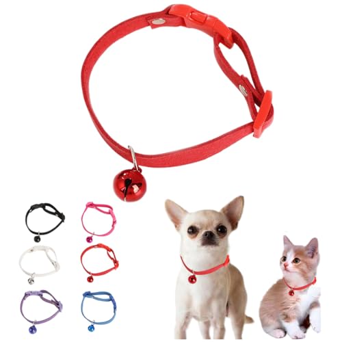 ԂXXS̎ցAq̎ցAXXS XSpxt킢L̎ցAȏ̌AybgAqLB