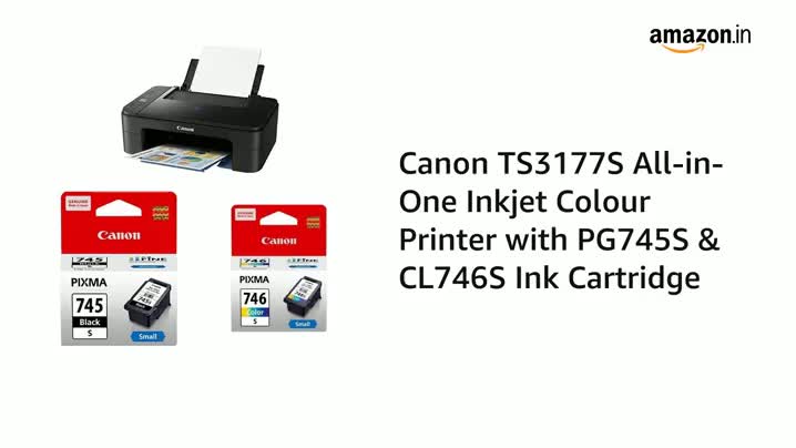 canon ts 300 ink cartridges