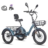 Fafrees F20 Mate Elektro Dreirad, Upgrade 2025 E-Bike 3 Rad 48V 23.45Ah Akku, E Bike Dreirad...