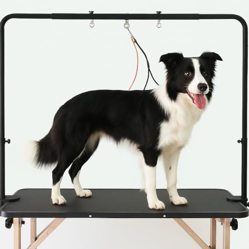 Who is a dog groomer