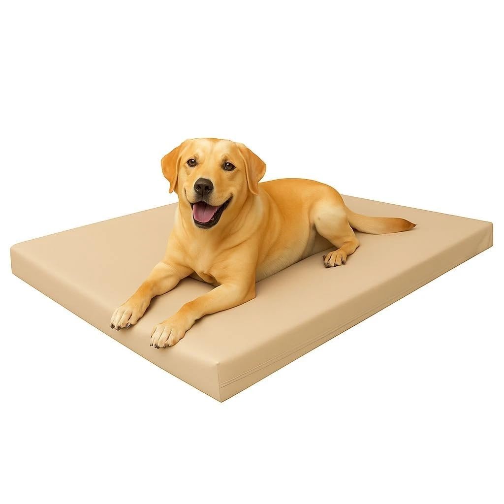 GA COMMUNICATIONS Foam Filled - Waterproof Dog Bed Heavy Duty Chew Resistant Mattress, Outdoor Crate Cage Super Soft Hardwearing Puppy Pet Comfy Zipped Cushion Tough Puppy Pet Bed Mattresses, Beige