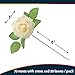 RCZ Décor Artificial Ivory Foam Roses with Stems & Leaves - Pack of 50, Perfect for Wedding Centerpieces, Event Decor, DIY Bouquets, and More