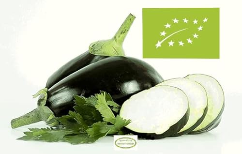 Melanzana Bio 100% Siciliana - 4 kg