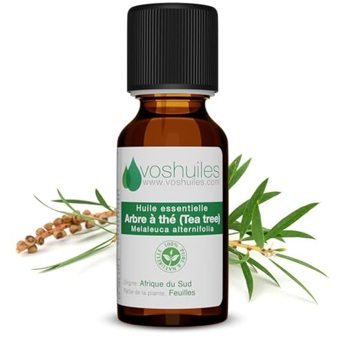 VOSHUILES - Huile Essentielle Arbre à Thé 10ml - Parfum Légèrement Piquant- Citronné- Boisé et Terreux - 100% Pure et Naturelle - HEBBD - Fabriqué en...