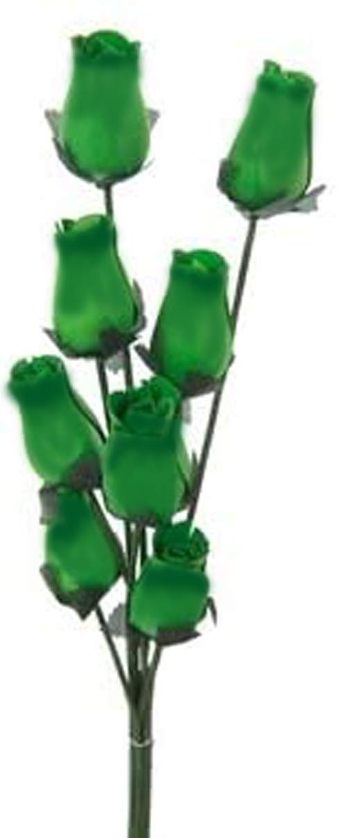 Homestreet Flowers Green Dark Green Tip Wooden Roses In Many Colours 8 Single Rose Stems Tied In A Bunch For Creating Bouquets Or Displays In Craft Project And More (Green Dark Green Tip)