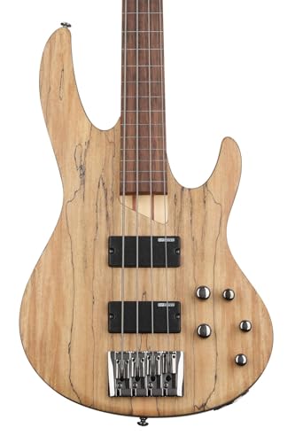 ESP Bas Gitar - Modern ve G&uuml;&ccedil;l&uuml; Tasarım