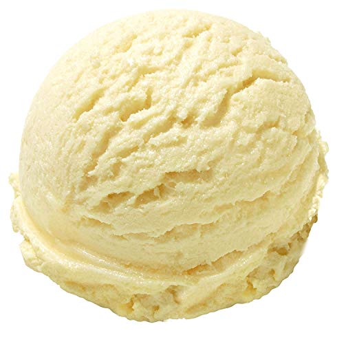 Vanille Joghurt Geschmack Eispulver VEGAN - OHNE ZUCKER - LAKTOSEFREI - GLUTENFREI - FETTARM, auch für Diabetiker Milcheis Softeispulver Speiseeispulver Gino Gelati (Vanille Joghurt, 1 kg)