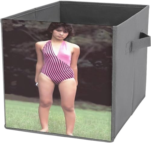 [P[X HÍ [ ܂肽ݎ[{bNX e ̐` @\Xg[W [  ϔ߂ ߗ  z [ lC   eʎ[   Gݎ[ Q N[[bg 27x27x