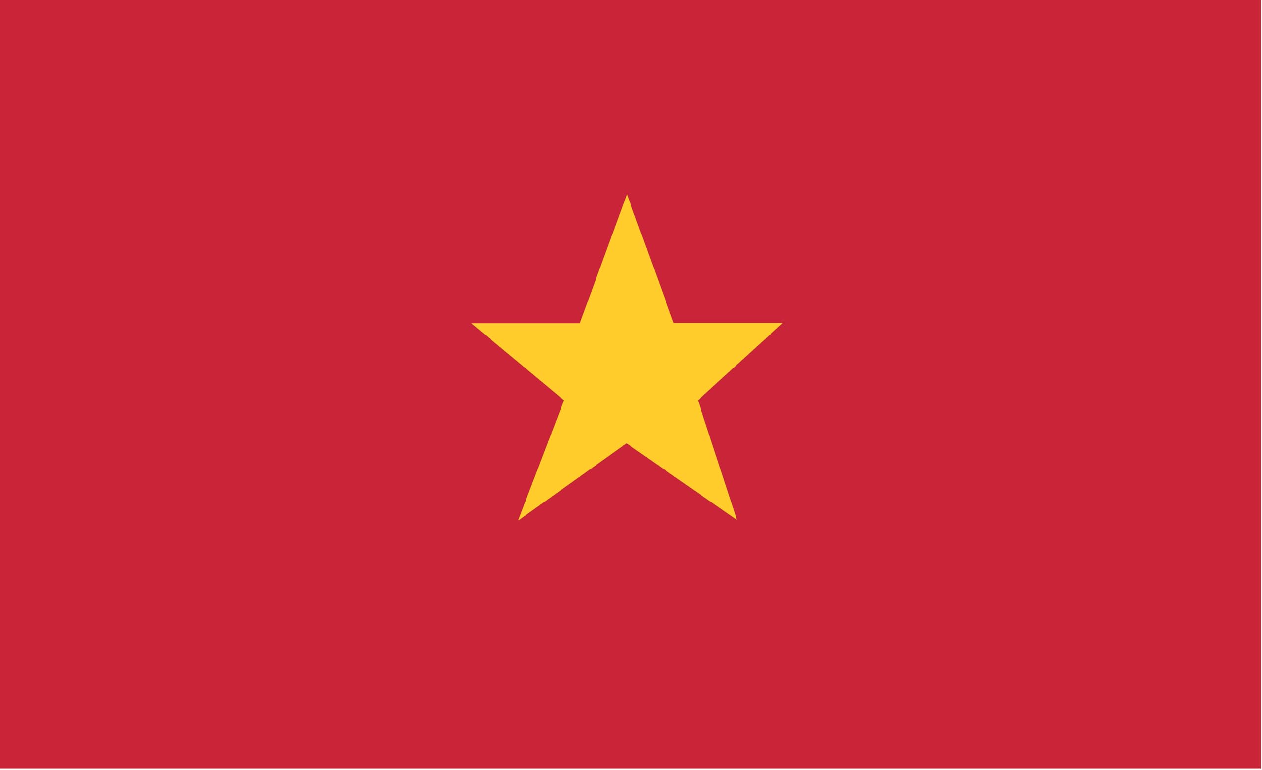 Drapeau du Vietnam grand format pour mât géant sans risque de déchirure
