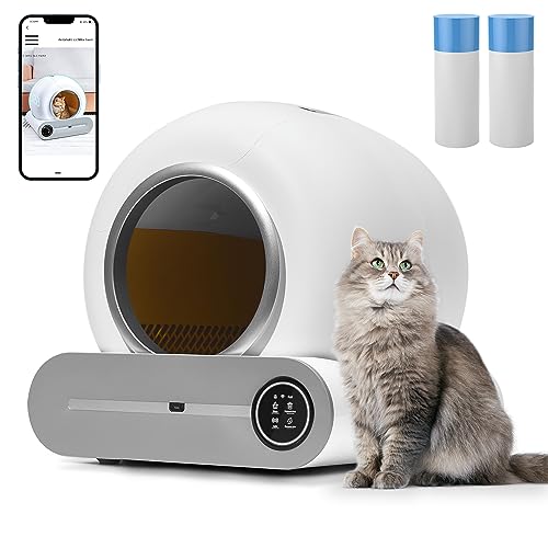 Top 10 Best Auto Scooping Litter Box Reviews & Buying Guide Katynel