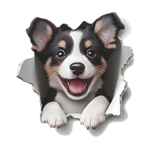 Vinilo decorativo 3D Cute Corgi Puppy Achang