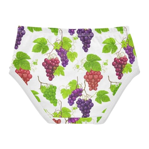 Fun Girls Underwear Toddlers 2t Cotton Cute Panties Girl Fruits Grape Clusters Purple Red Briefs Kids Undies2