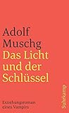 Das Licht und der Schlüssel: Erziehungsroman eines Vampirs (suhrkamp taschenbuch) - Adolf Muschg