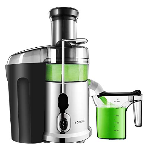 Top 20 Best Juicer For Celery Reviews 2020 RattlenHumBar