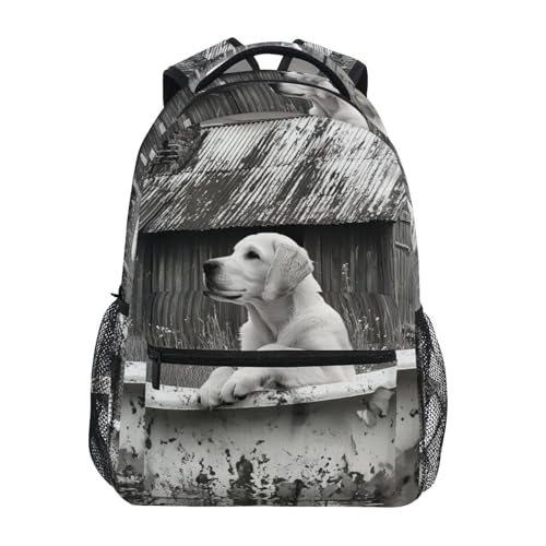 Dog Bathtub Sunflower Backpack Daypack Shoulder Bag Book Bag Lightweight Back Pack 12 ×16.9 Inch