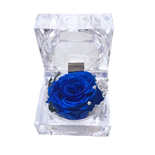 DoraMagic Rosa preservada real para sempre em mini caixa de anel transparente, presentes de rosa de flor eterna para mulheres, mãe, namorada, avó, dia das mães, aniversário, dia dos namorados, Natal, aniversário (azul)