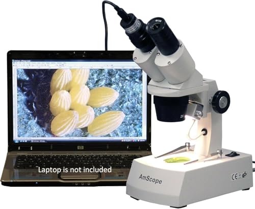 Image of AmScope SE305R-A-E Digital Forward-Mounted Binocular Stereo Microscope, WF10x Eyepieces, 10X /30X Magnification, 1X and 3X Objectives, Upper and Lower Halogen Light Source, Arm Stand, 120V, Includes 0.3MP Camera and Software