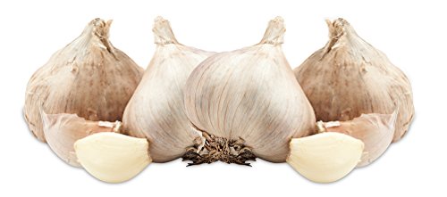 Evriholder Garlic Keeper, Double Drawstring Feature Protects from Light and Delays Spoilage Sprout-Free Vegetable Storage Bag, 12 Head Capacity, Green - Image 5