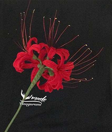 Red spider Lily Lycoris radiata flower Crochet Pattern: Flower (English Edition)