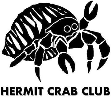 Miniatura 8 de 12 conchas cambiantes de cangrejo ermitaño, pequeñas a grandes, conchas coloridas de luna de burbujas