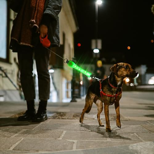 Funmo LED-Leuchtbänder für Haustiere, USB Aufladbar Sicherheits LED Leuchthalsband Hunde mit Klettverschluss, Einfach an Halsband Leine und Geschirr zu Befestigen, Wasserdicht LeuchtendNacht Outdoor
