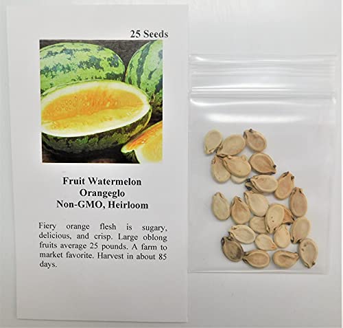 Fruit Watermelon Orangeglo Fba-9384 (Orange) 25 Non-Gmo, Heirloom Seeds #TOP1