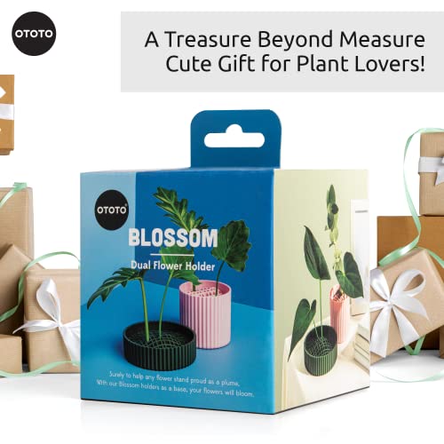 Blossom Flower Frog By Ototo - Flower Frogs For Arrangements, Flower Holder - Housewarming Gift, Modern Home Decor Gifts For Plant Lovers - Vases For Centerpieces Kitchen Counter Decor Home Decoration #TOP5