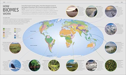 Explanatorium of Nature: Where the Wonders of the World are Revealed (DK Explanatorium) - Image 11