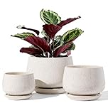LE TAUCI Plant Pots, 10+13+16 cm Planters, Set of 3 Ceramic Planters with Drainage Hole and Saucer, Indoor Plant Pot with Hole Mesh Pad, Gifts for Mom, Reactive Glaze Beige