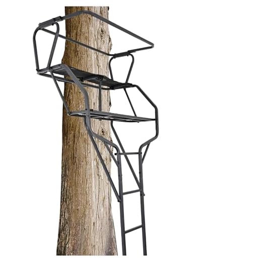 41w5wvMk1LL._SS520_ Best bowman 2 man treestand