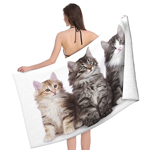 oX^I lC qL OC mEF[WtHXgLbg L[g {fB^I r[`^I 唻 }CNt@Co[ ӂӂ z TCYF80cm×130p ƒp s ze W C 킢  