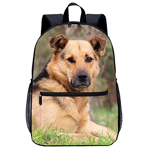 Mochila de viaje para perros espaciosa de 45cm con compartimento escolar para niños y niñas