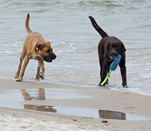 Dingo Mop Bungee Blau Mikrofaser mit Vanille Duft Ball Hundespielzeug Agility Apporte zum Spielen Tauziehen Beweglichkeit Wassertraining 15587-2