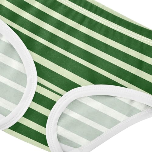 Green Stripe Toddler Girls's Underwear 2T 23008744