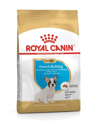 Royal Canin Puppy Bulldog Francese Puppy, fino a 12 mesi, 3 Kg