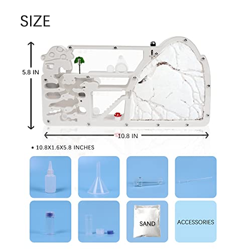 Ant Farm Castle, Ant Nest Farm for Live Ants, Ant Colony Observation Kit, Ant Habitat Science Learning Kit for Students Kids Children