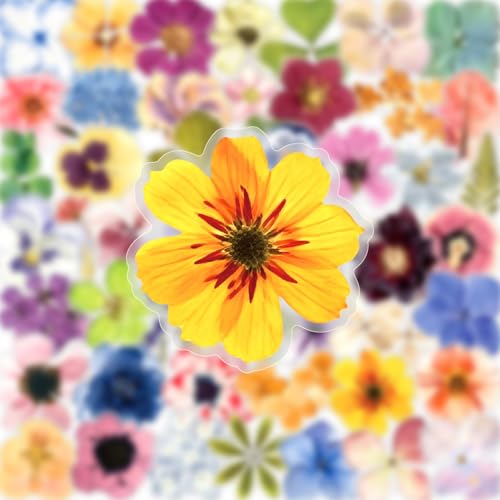 Image of 50PCS Transparent Flora Scrapbook Stickers, Flower-E | Vintage Aesthetic Flowers, Vinyl Waterproof, For Scrapbooks Travel Journal, For Water Bottles Laptop Phone