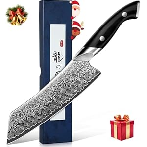 DRAGON RIOT Damastmesser, Japanisches Fleischmesser extrem scharf, Handgeschmiedete Kochmesser profi Messer, Damast Küchenmesser mit Geschenkbox