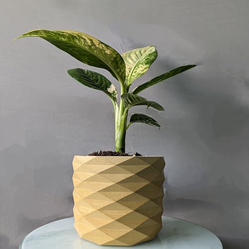 Image of Little Jungle X inchCuteCrete Luxe inch Medium Planter Houses 4 inch-5 inch Inch Nursery Pots (Yellow) | | flower pots for home decoration | Balcony Decor | Garden