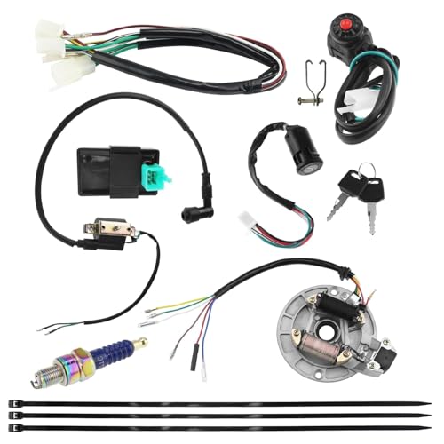 Image of PRO BAT Lifan Stator Kick Electrics Wire Harness Kit Complete Electrics Wire Harness CDI Coil Magneto for 50cc 70cc 90cc 110cc 125cc 140cc Pit Dirt Bike ATV SSR Coolster Purple