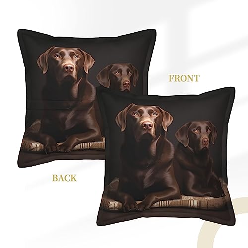 Housses de coussin labrador pour extérieur et voiture 50x50