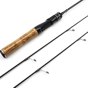 Visstang/visserspaal Hengel 1.68 m Lokken Rod 2 Tips Koolstofvezel Spinning Rod Lure Gewicht 2-8G Ultra Licht Langzaam Houten Handvat Trout Pool Haspelcombo’s (Color : Spinning Rod)
