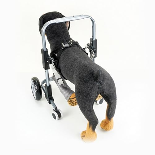 Regulowany wózek inwalidzki dla psa - lekki wózek wspomagający poruszanie się dla małych zwierząt domowych do 5 kg - wózek rehabilitacyjny dla psów i kotów rannych lub niepełnosprawnych