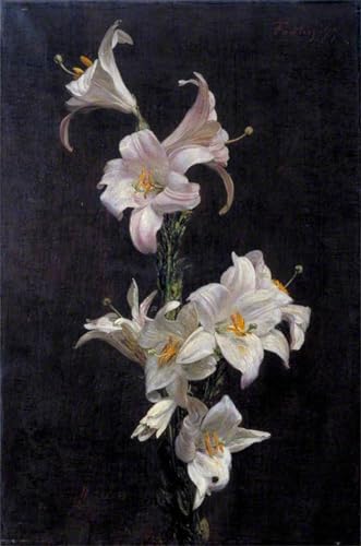 Posters et Art Pour Décoration Chambre : Lys blancs Henri Fantin-latour Tableau Mural 60x90