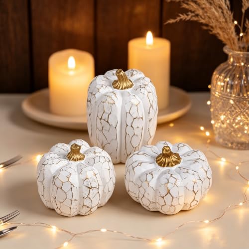 Image of winemana Set of 3 White Pumpkins Fall Decorations for Home | Resin, Textured Neutral Pumpkin, Thanksgiving Centerpiece For Table, Mantel, Porch & Indoor, Farmhouse Autumn Harvest Decor